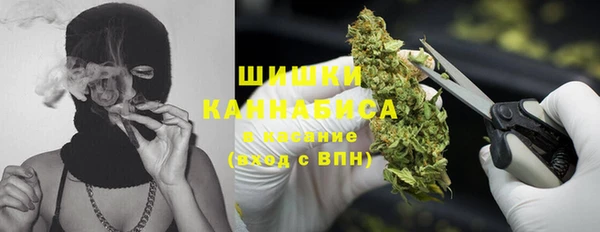 ПСИЛОЦИБИНОВЫЕ ГРИБЫ Алзамай