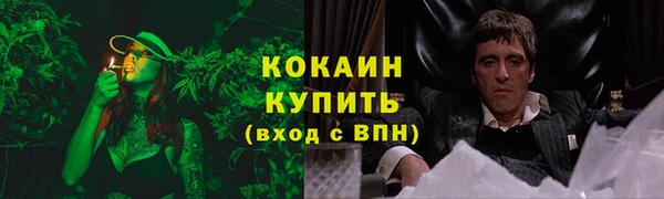 трава Аркадак