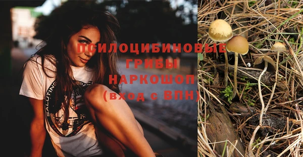 трава Аркадак