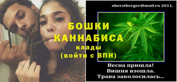 трава Аркадак