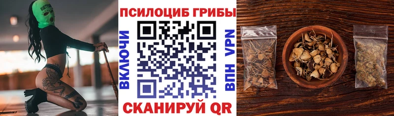 kraken   как найти   Заозёрный  Галлюциногенные грибы Cubensis 